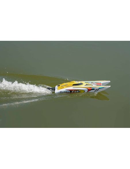 Bateau rc, Bateau Joysway Smart Cat Electric ABS 420mm Brushed 2.4G RTR