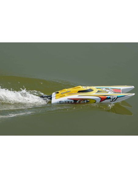 Bateau rc, Bateau Joysway Smart Cat Electric ABS 420mm Brushed 2.4G RTR