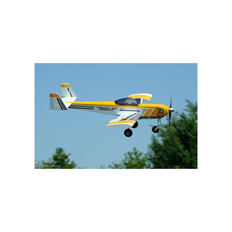 Avion rc, Avion Ecotop Bidule 111 ARF env.3.00m