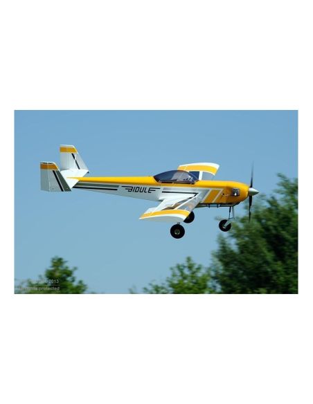 Avion rc, Avion Ecotop Bidule 111 ARF env.3.00m