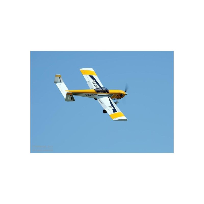 Avion rc, Avion Ecotop Bidule 111 ARF env.3.00m
