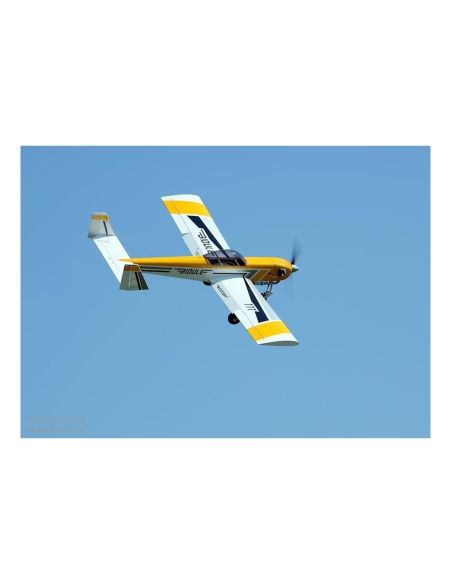 Avion rc, Avion Ecotop Bidule 111 ARF env.3.00m