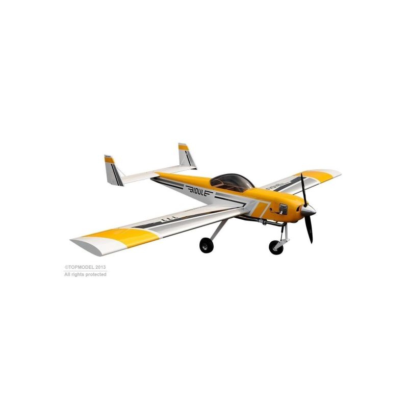 Avion rc, Avion Ecotop Bidule 111 ARF env.3.00m