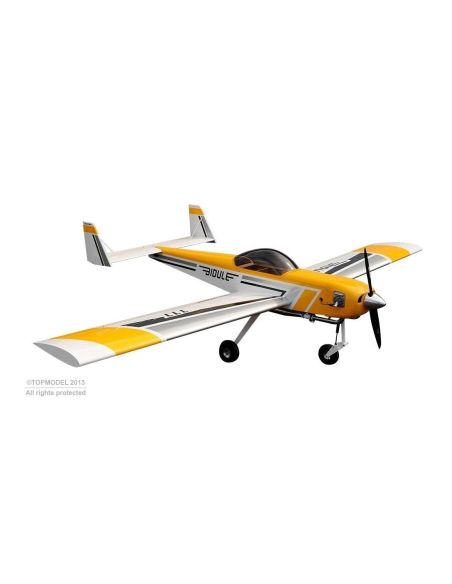 Avion rc, Avion Ecotop Bidule 111 ARF env.3.00m