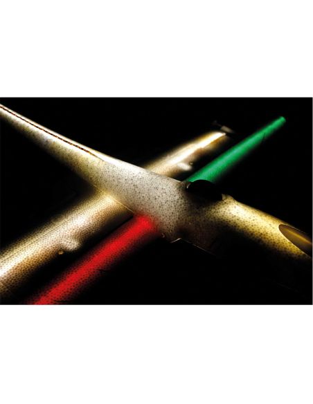 Planeur rc, radiocommandé, Robbe Modellsport ARCUS II NIGHT PNP AVEC LEDS PLANEUR RC