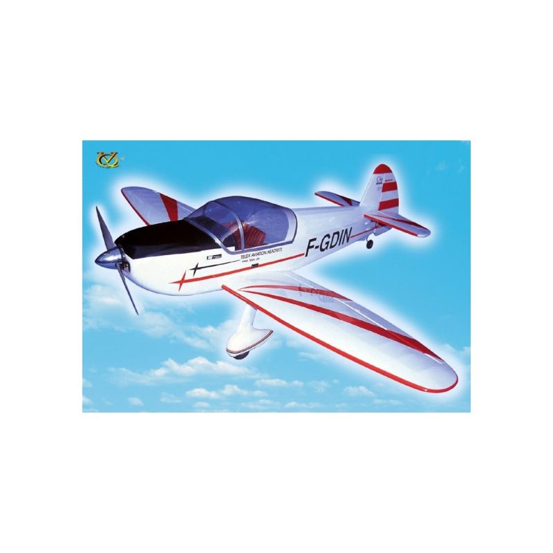 Avion radiocommandé RC, Avion VQ model CAP 10 1.50m